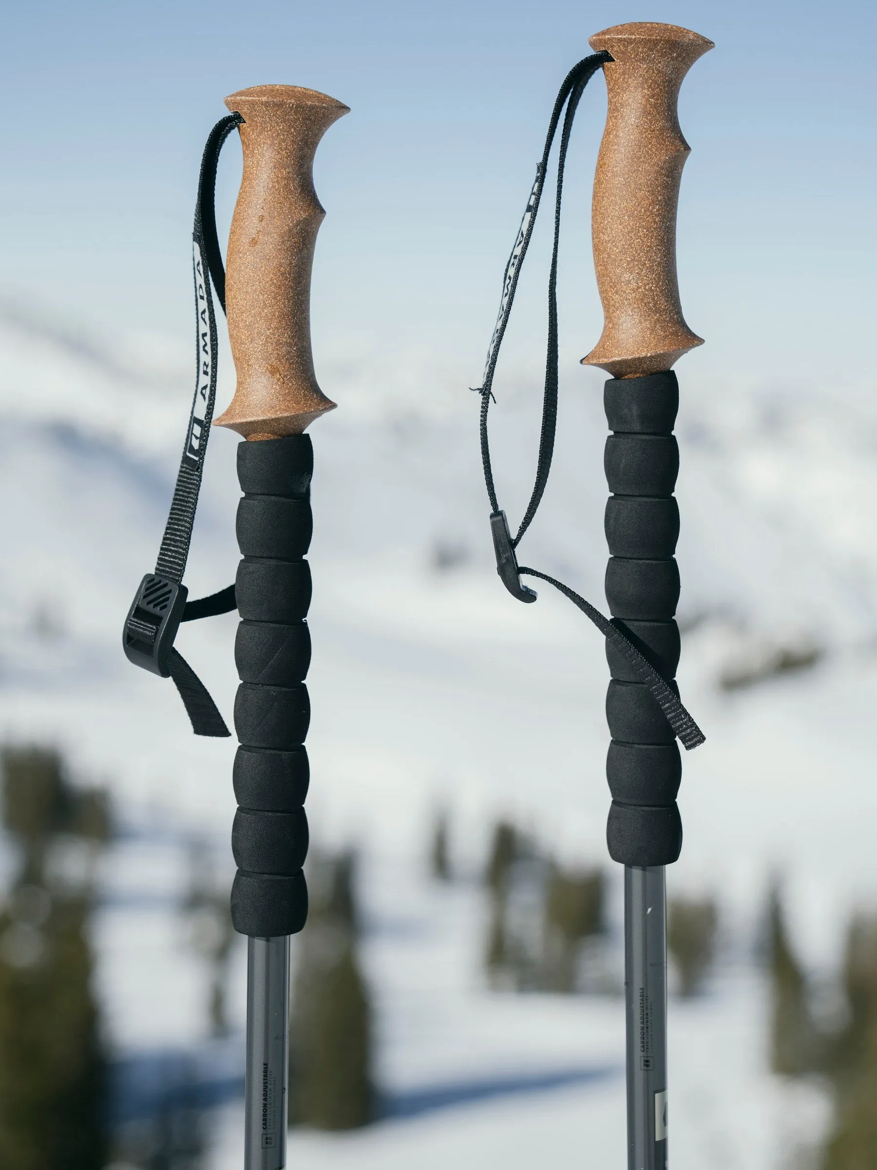 Armada CARBON Adjustable Touring Ski Poles 2025