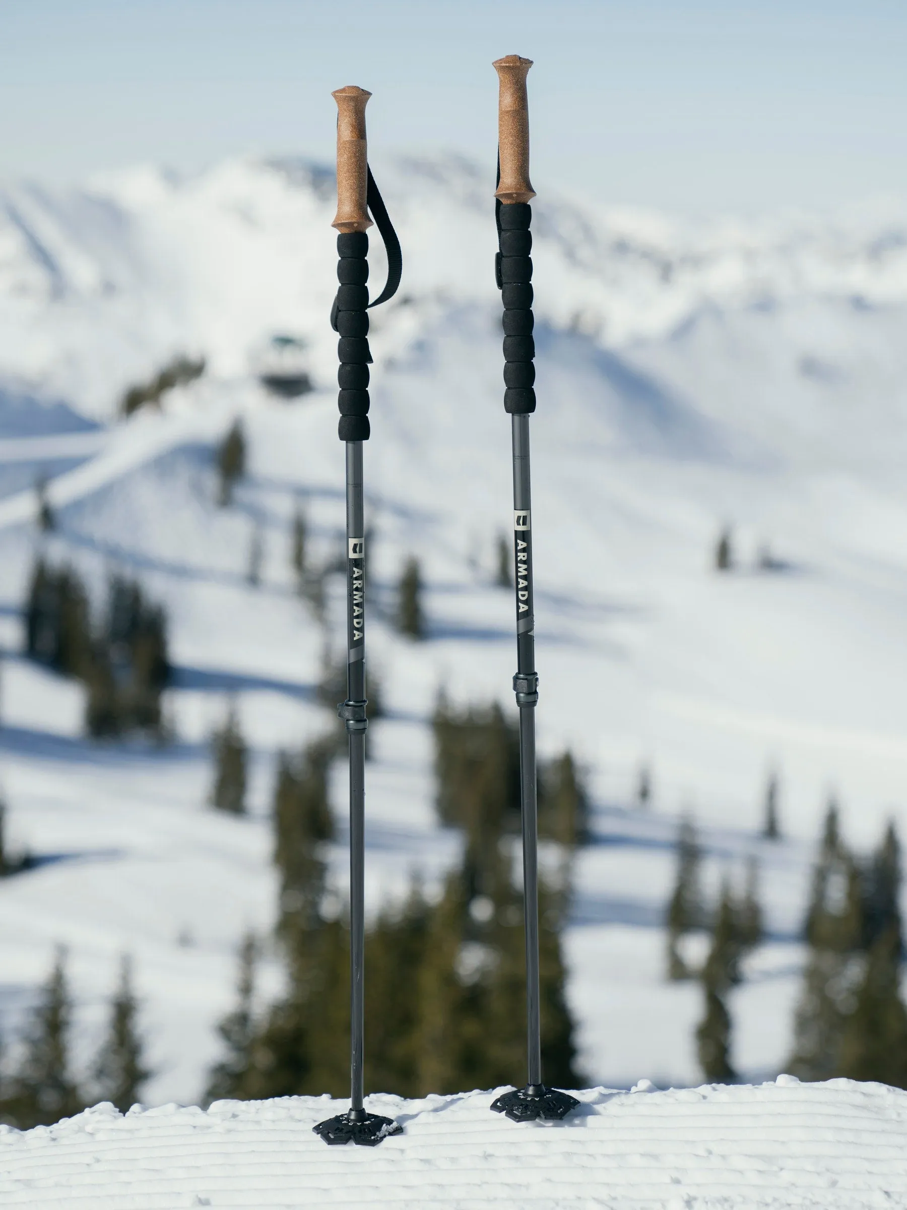 Armada CARBON Adjustable Touring Ski Poles 2025